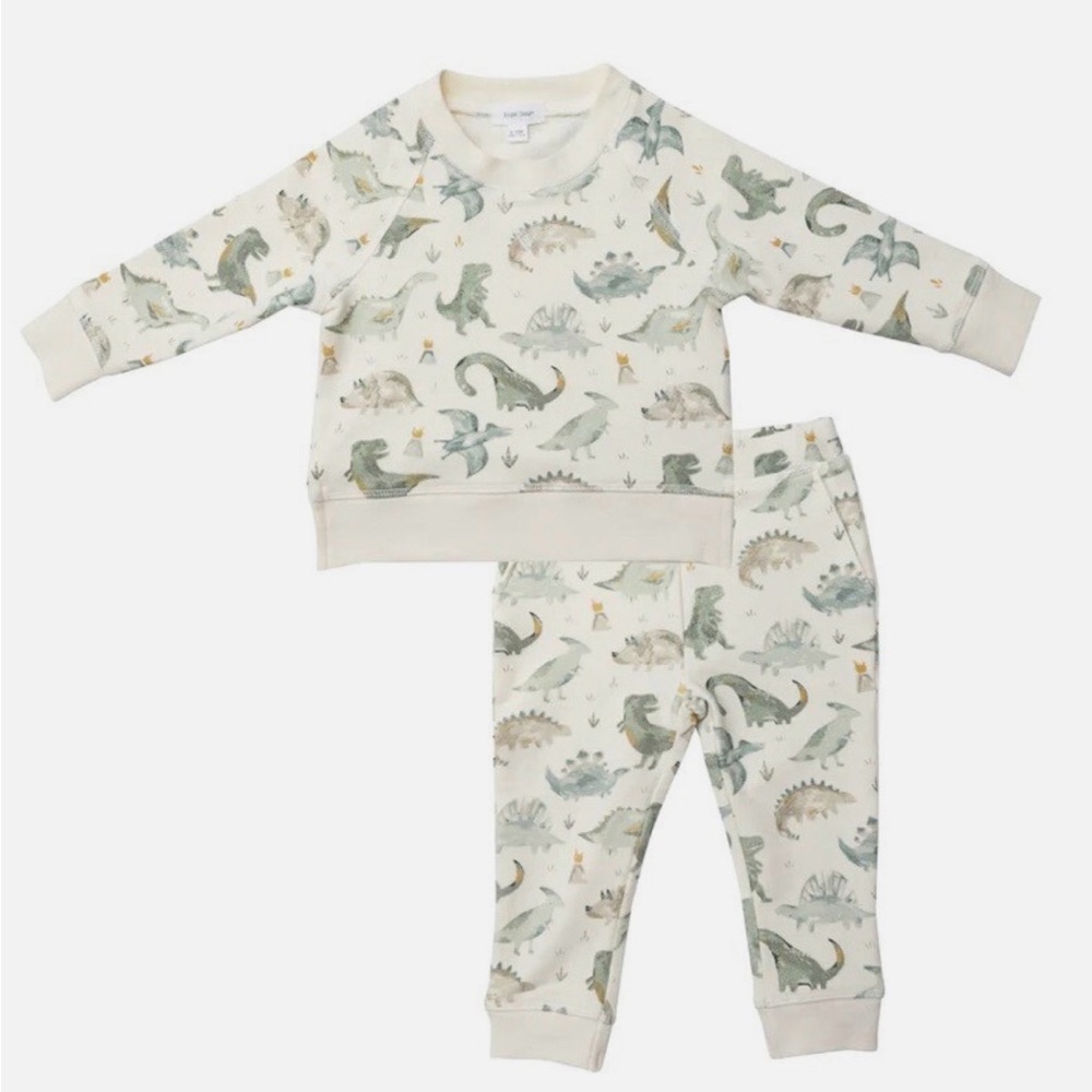 Angel Dear Crayon Dinos Organic Cotton Dinosaur Raglan Sweatsuit Set Joggers 3T